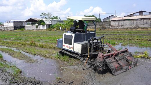 Olah Tanah